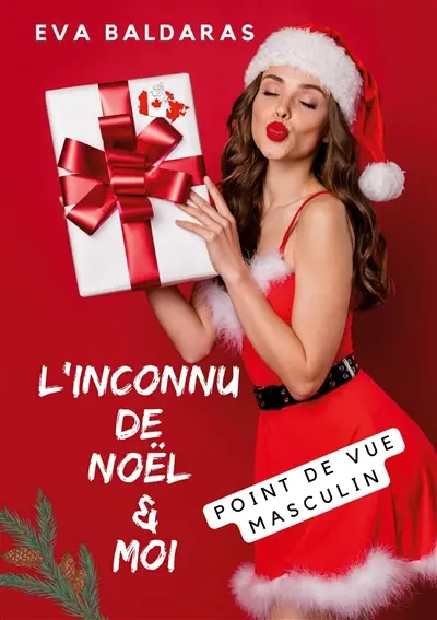 L'inconnu de Noël et moi : point de vue masculin