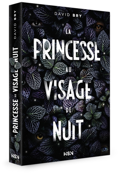 La princesse au visage de nuit