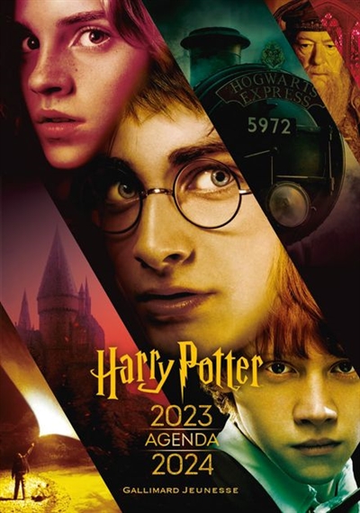 Fières d'être sorcières, les filles de la saga Harry Potter - Boojum