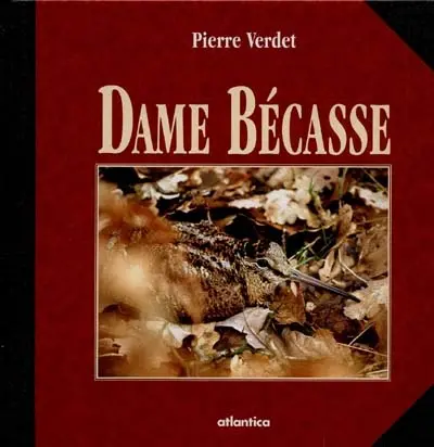 Dame Bécasse
