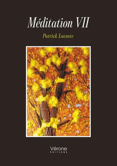 Méditation VII