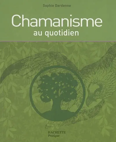 Chamanisme au quotidien