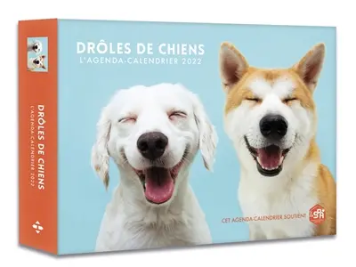 Drôles de chiens : l'agenda-calendrier 2022