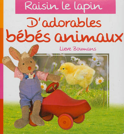 D'adorables bébés animaux