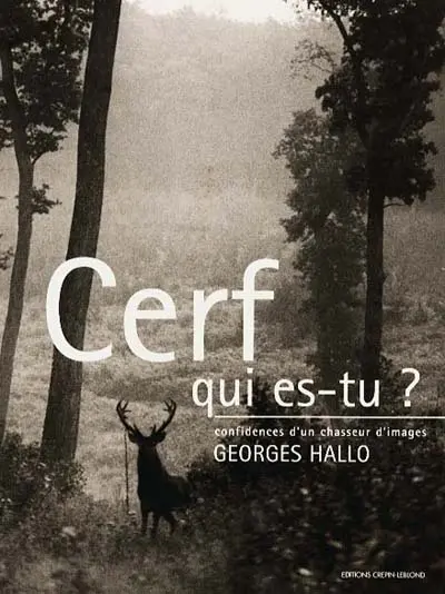 Cerf, qui es-tu ?