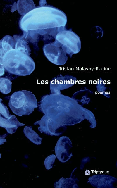 Les chambres noires