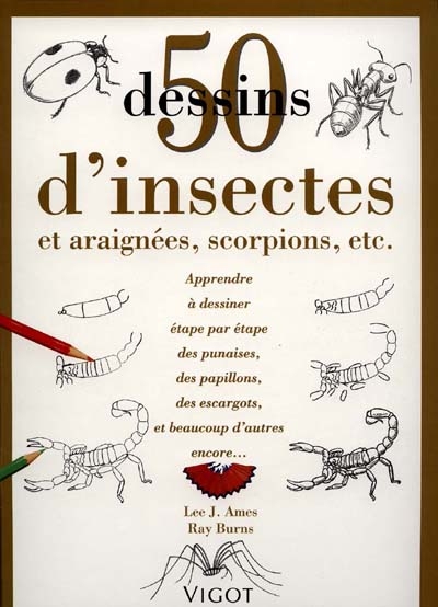 50 dessins d'insectes