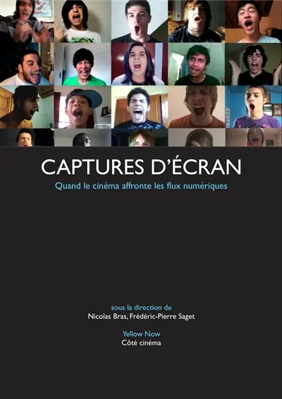 Captures d'écran : quand le cinéma affronte les flux numériques