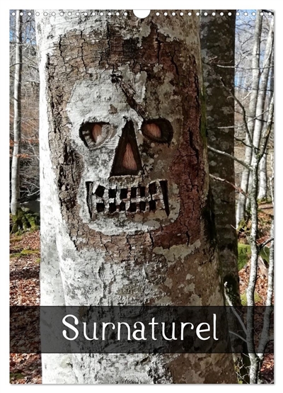 Surnaturel (Calendrier...