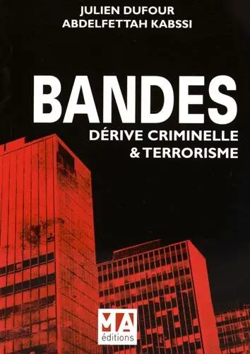 Bandes, dérive criminelle et terrorisme