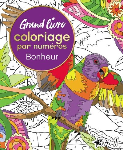 Grand livre de coloriage...