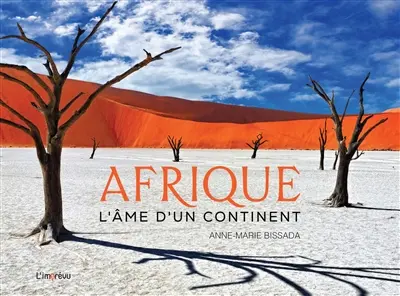 Afrique : l'âme d'un continent