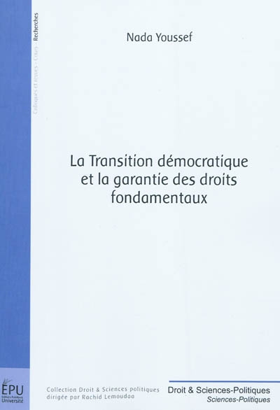 La transition démocratique et la garantie des droits fondamentaux : esquisse d'une modélisation juridique
