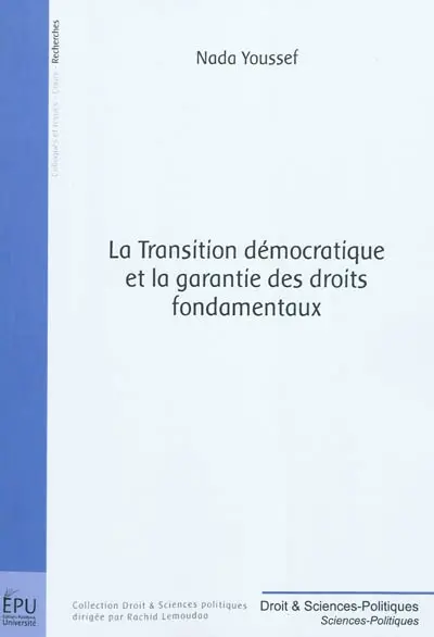 La transition démocratique et la garantie des droits fondamentaux : esquisse d'une modélisation juridique