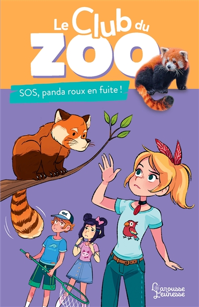 Sos, panda roux en fuite !