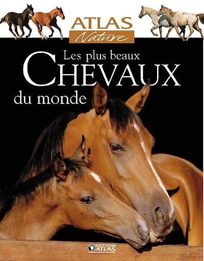 Les plus beau chevaux du monde