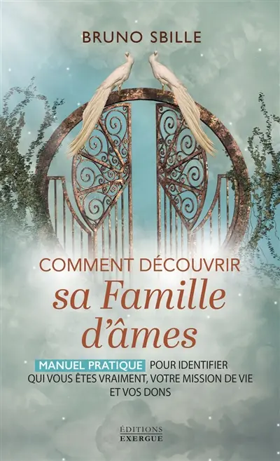 Comment découvrir sa famille d'âmes ? : manuel pratique pour identifier qui vous êtes vraiment, votre mission de vie et vos dons