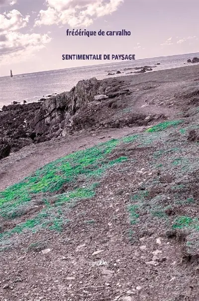 Sentimentale de paysage