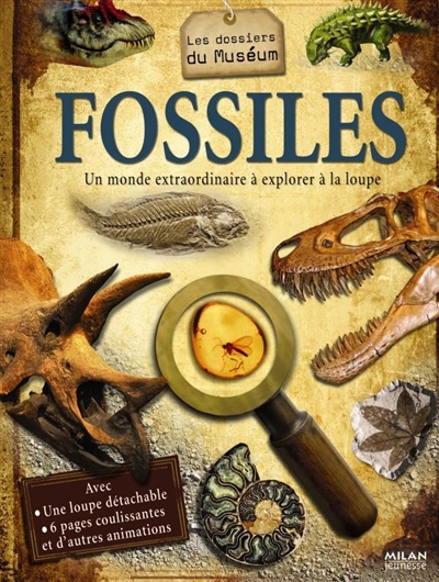 Fossiles : un monde extraordinaire à explorer à la loupe
