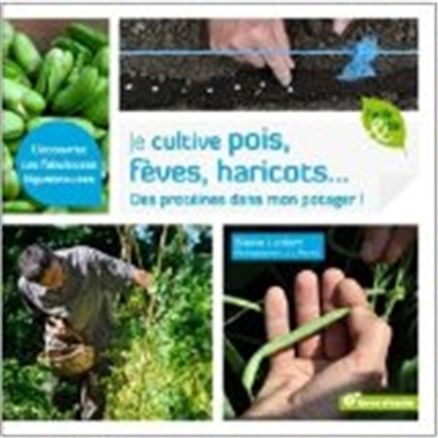 Je cultive pois, fèves, haricots... : des protéines dans mon potager !