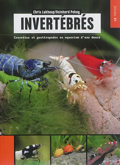 Invertébrés : crevettes et gastéropodes en aquarium d'eau douce