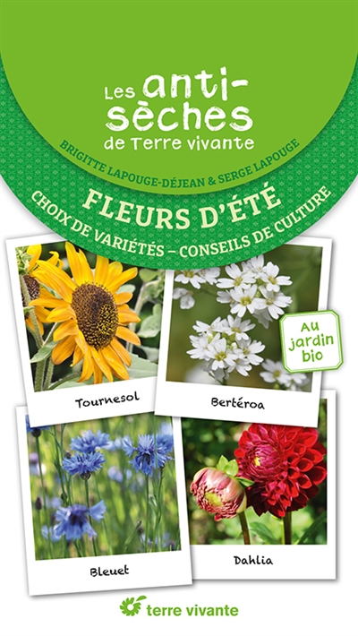 Fleurs d'été : choix de variétés, conseils de culture : au jardin bio