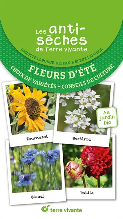 Fleurs d'été : choix de variétés, conseils de culture : au jardin bio