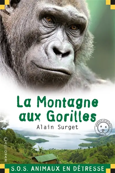 La montagne aux gorilles