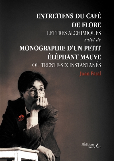 Entretien du Café de Flore : Lettres alchimiques : suivi de Monographie d'un petit éléphant mauve ou Trente-six instantanés