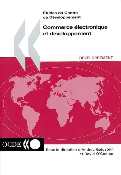 Commerce électronique et développement