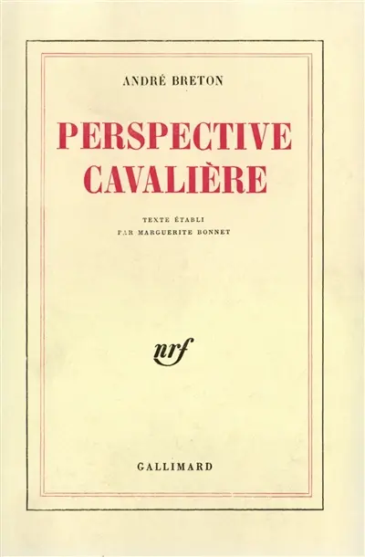 Perspective cavalière