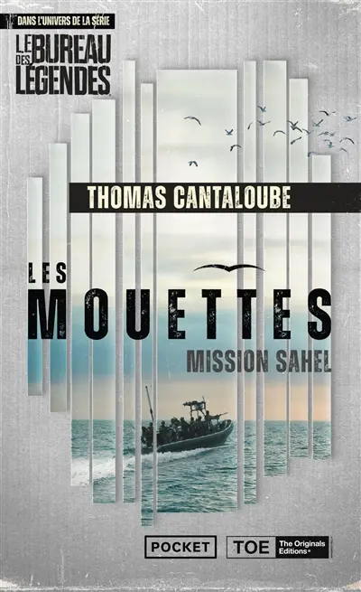Les mouettes : mission Sahel : dans l'univers de la série Le bureau des légendes