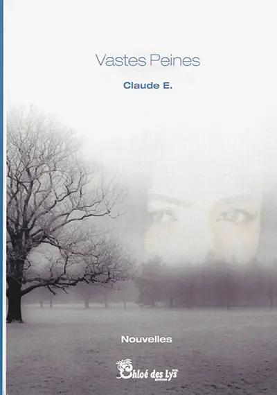 Vastes peines