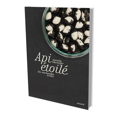 Gabriela Oberkofler : api...