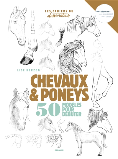 chevaux & poneys : 50 modèles pour débuter