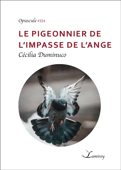 Le pigeonnier de l'impasse de l'ange