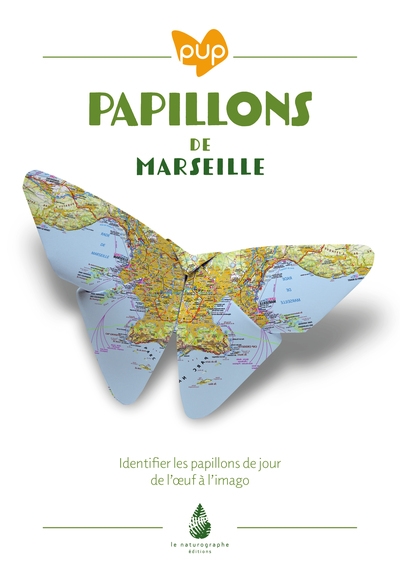 Papillons de Marseille : identifier les papillons de jour de l'oeuf à l'imago