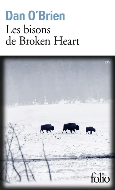 Les bisons de Broken Heart