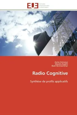 Radio Cognitive : Synthèse de profils applicatifs