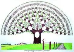 Arbre généa' 8