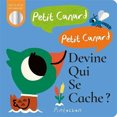 Petit canard, petit canard, devine qui se cache ? : des flaps & un miroir !