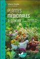 Plantes médicinales à glaner : 58 espèces pour prendre soin de sa santé